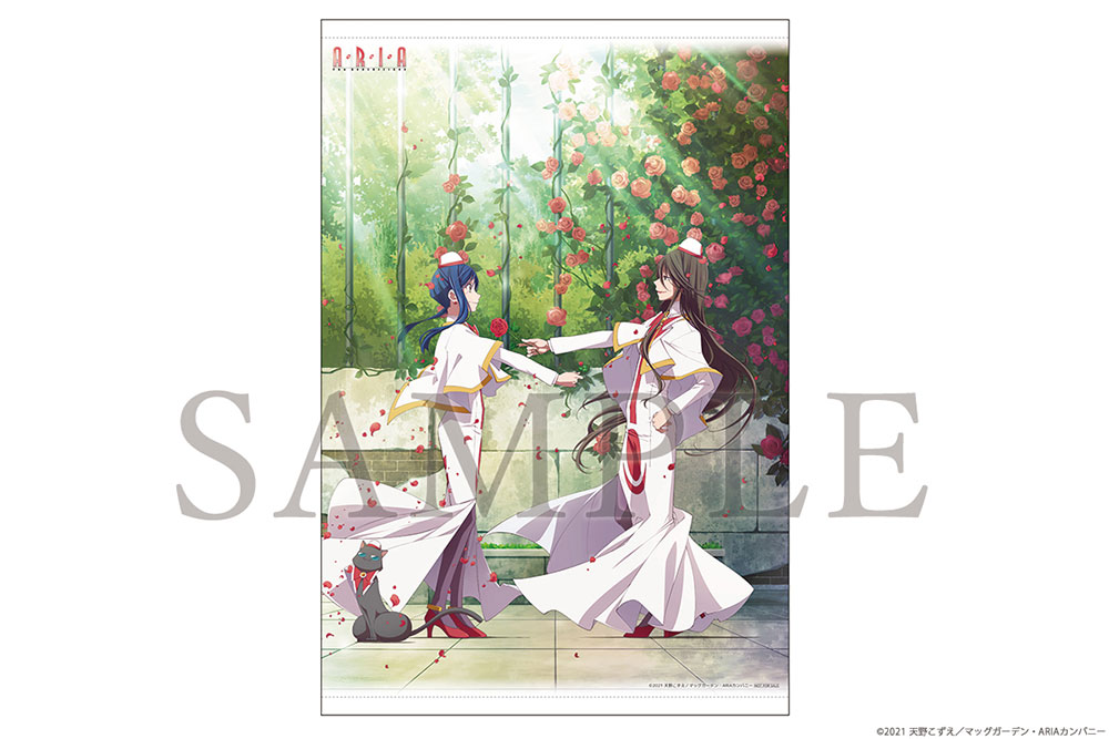 ビックカメラ B2サイズタペストリー